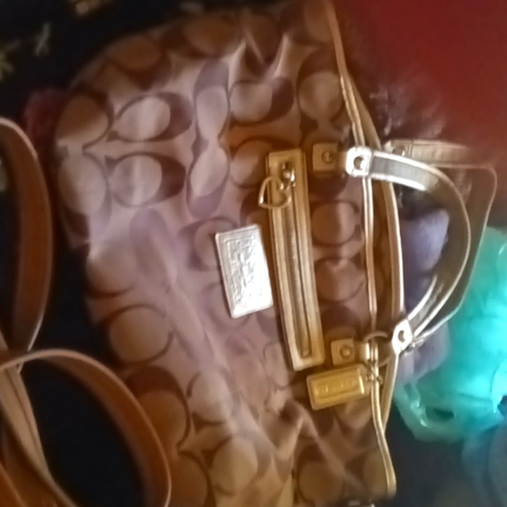 I have four different purses